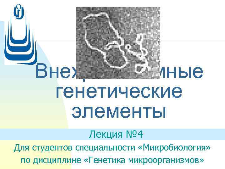 Генетика микроорганизмов микробиология презентация