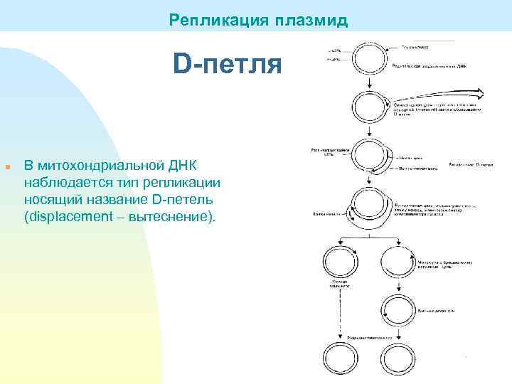 Нестабильный плазмид телепортации биошок 2 как взять