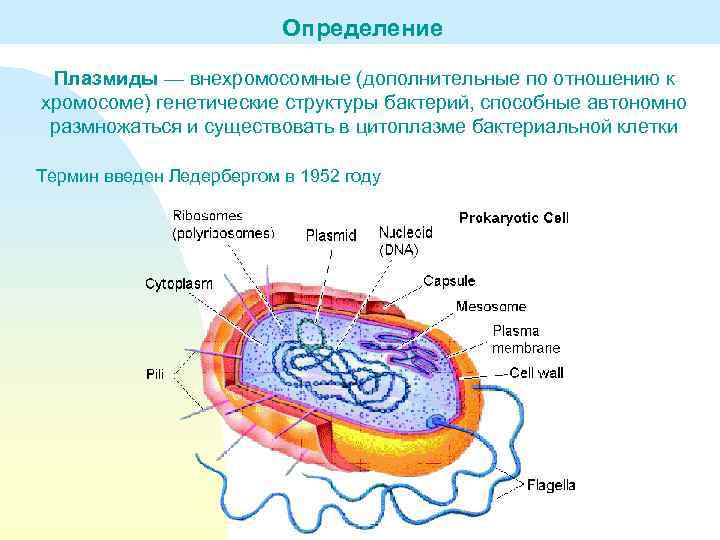 Нестабильный плазмид телепортации биошок 2 как взять