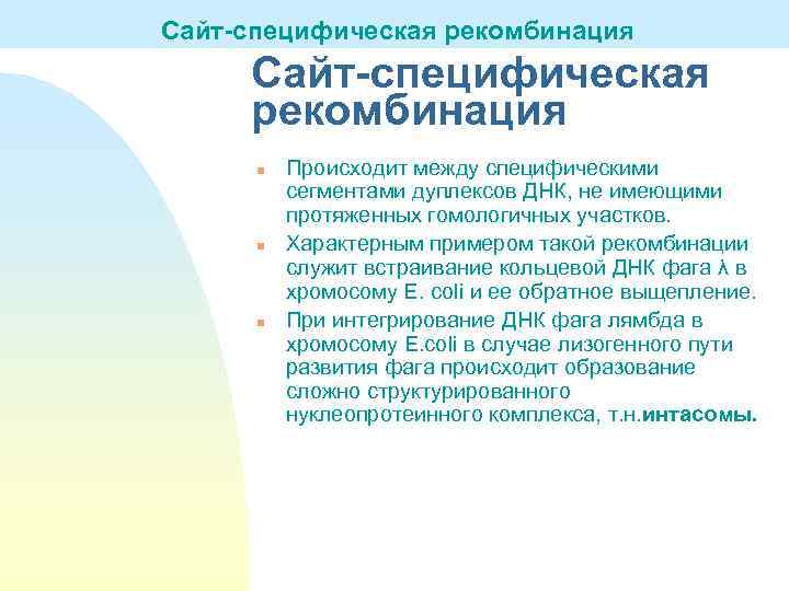 Сайт-специфическая рекомбинация n n n Происходит между специфическими сегментами дуплексов ДНК, не имеющими протяженных
