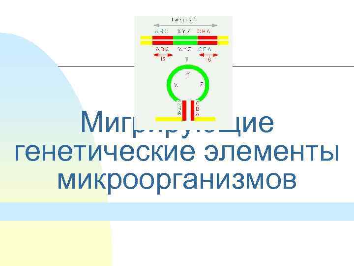 Мигрирующие генетические элементы микроорганизмов 