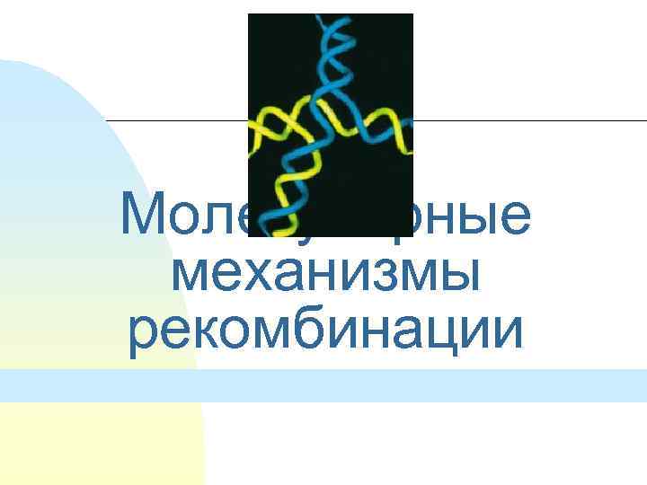 Молекулярные механизмы рекомбинации 