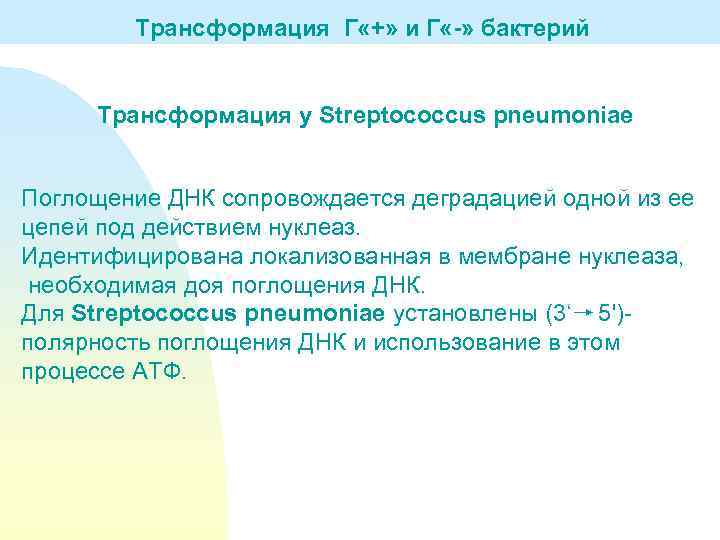 Трансформация Г «+» и Г «-» бактерий Трансформация у Streptococcus pneumoniae Поглощение ДНК сопровождается