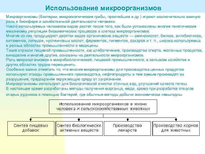 Составьте схему иллюстрирующую использование бактерий в хозяйственной деятельности человека