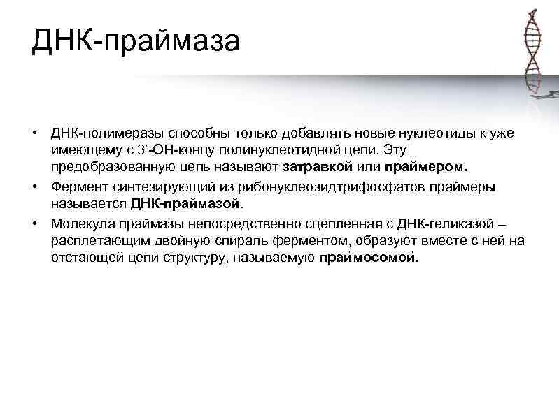 ДНК-праймаза • ДНК-полимеразы способны только добавлять новые нуклеотиды к уже имеющему с 3’-ОН-концу полинуклеотидной