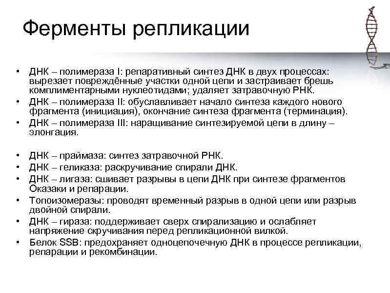 Ферменты репликации • ДНК – полимераза I: репаративный синтез ДНК в двух процессах: вырезает