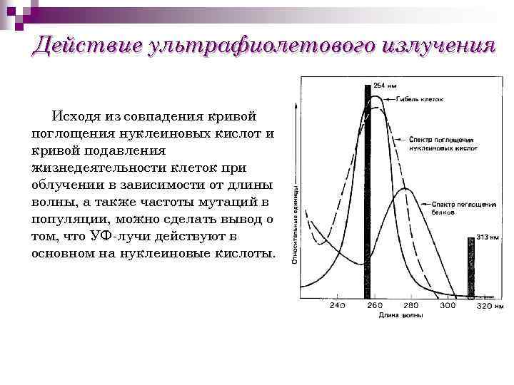 Действие ультрафиолетового излучения Исходя из совпадения кривой поглощения нуклеиновых кислот и кривой подавления жизнедеятельности