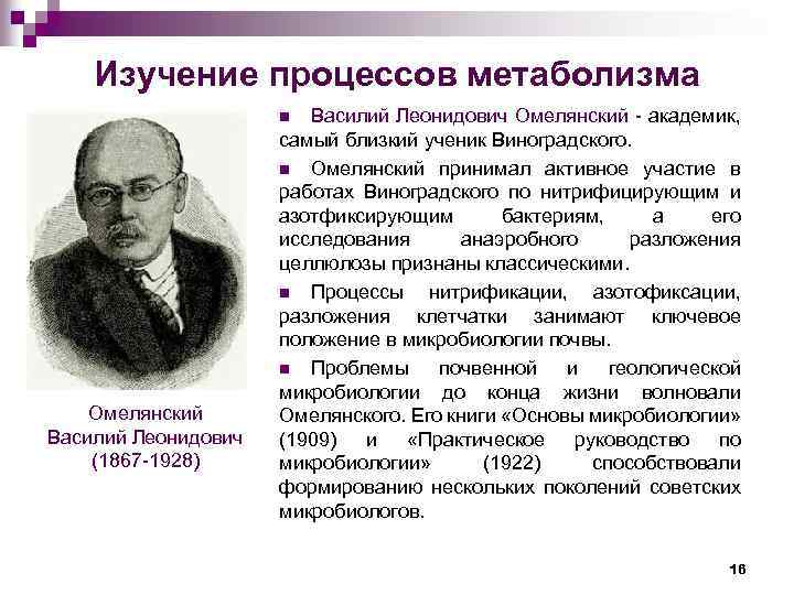 Изучение процессов метаболизма Василий Леонидович Омелянский академик, самый близкий ученик Виноградского. n Омелянский принимал