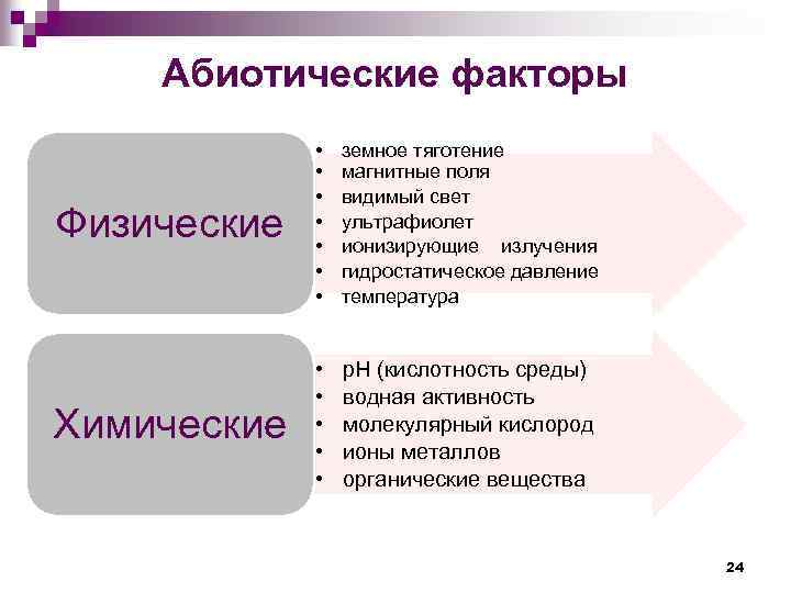 Абиотические факторы Физические • • земное тяготение магнитные поля видимый свет ультрафиолет ионизирующие излучения