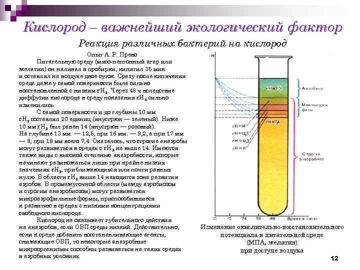 Факторы кислорода