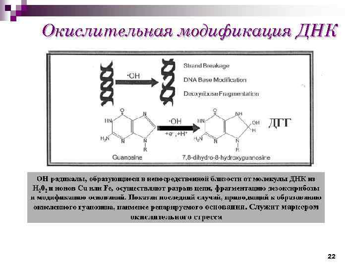 Днк 22. Механизм действия химических факторов на микроорганизмы. Влияние фенола на бактерии.