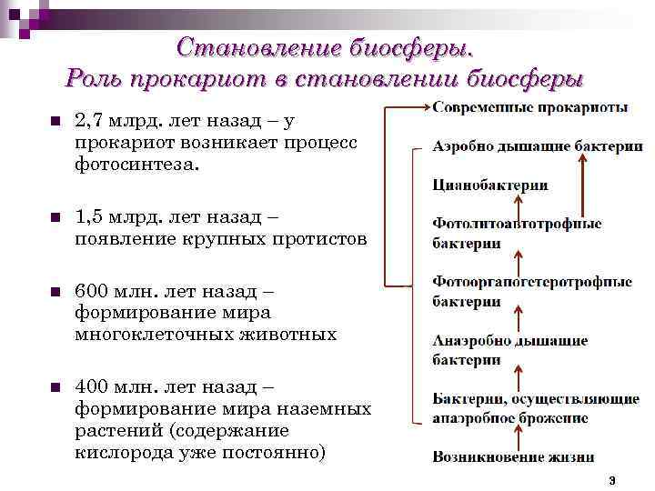 Становление биосферы. Роль прокариот в становлении биосферы n 2, 7 млрд. лет назад –