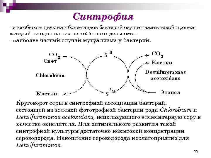 Синтрофия - способность двух или более видов бактерий осуществлять такой процесс, который ни один