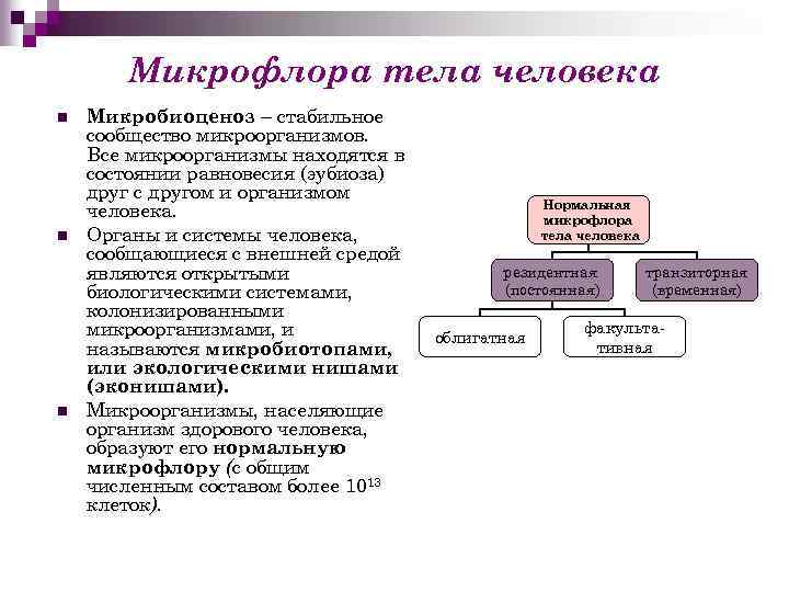 Микрофлора тела человека n n n Микробиоценоз – стабильное сообщество микроорганизмов. Все микроорганизмы находятся