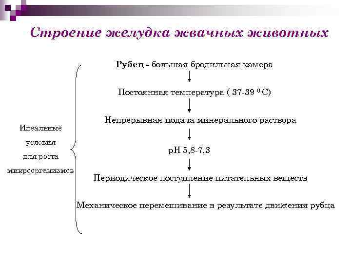 Строение желудка жвачных животных Рубец - большая бродильная камера Постоянная температура ( 37 -39