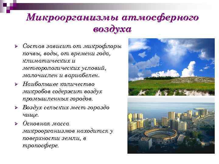 Микроорганизмы атмосферного воздуха Ø Ø Состав зависит от микрофлоры почвы, воды, от времени года,