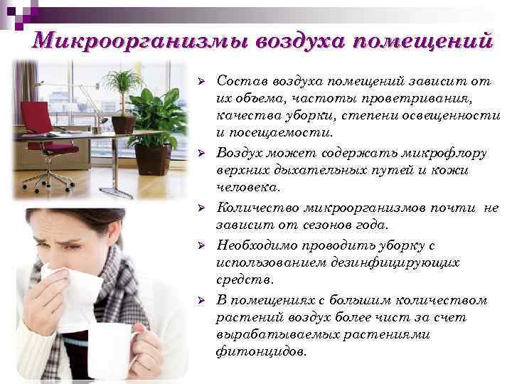 Микроорганизмы воздуха помещений Ø Ø Ø Состав воздуха помещений зависит от их объема, частоты