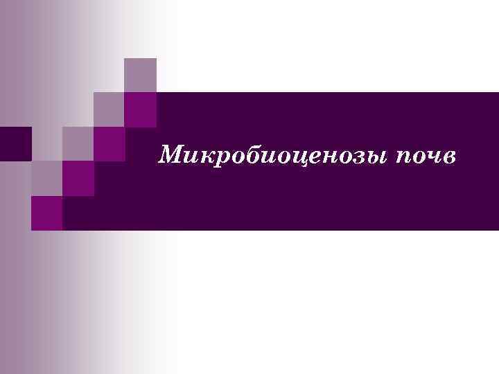 Микробиоценозы почв 