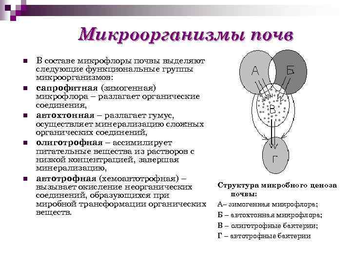 Микробиология почвы презентация