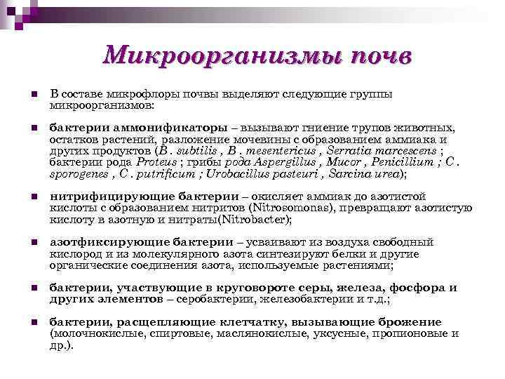 Микроорганизмы почв n В составе микрофлоры почвы выделяют следующие группы микроорганизмов: n бактерии аммонификаторы