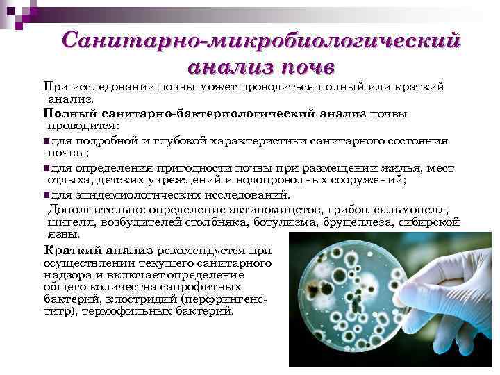 Санитарно-микробиологический анализ почв При исследовании почвы может проводиться полный или краткий анализ. Полный санитарно-бактериологический