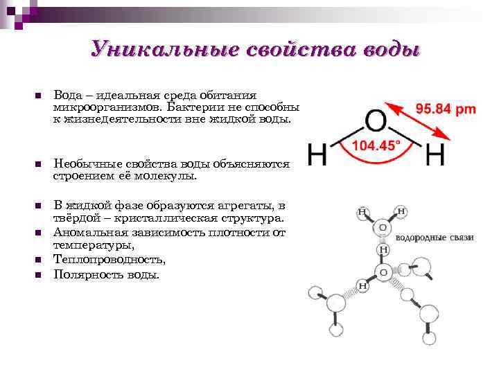 Уникальные свойства воды n Вода – идеальная среда обитания микроорганизмов. Бактерии не способны к