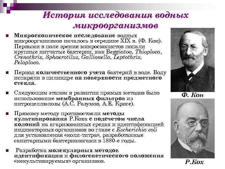 История исследования водных микроорганизмов n Микроскопическое исследование водных микроорганизмов началось в середине XIX в.