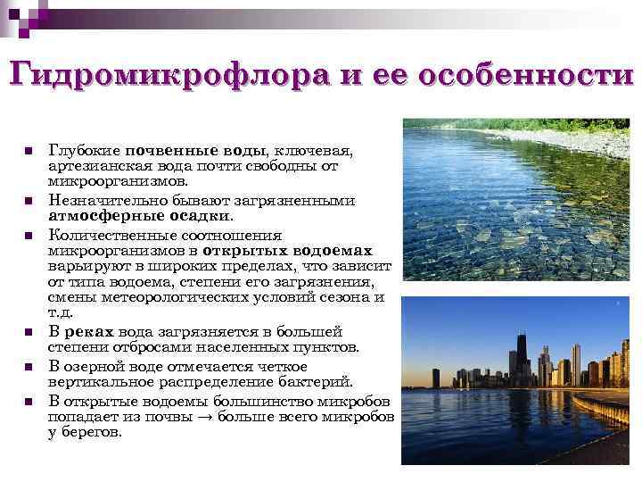 Гидромикрофлора и ее особенности n n n Глубокие почвенные воды, ключевая, артезианская вода почти