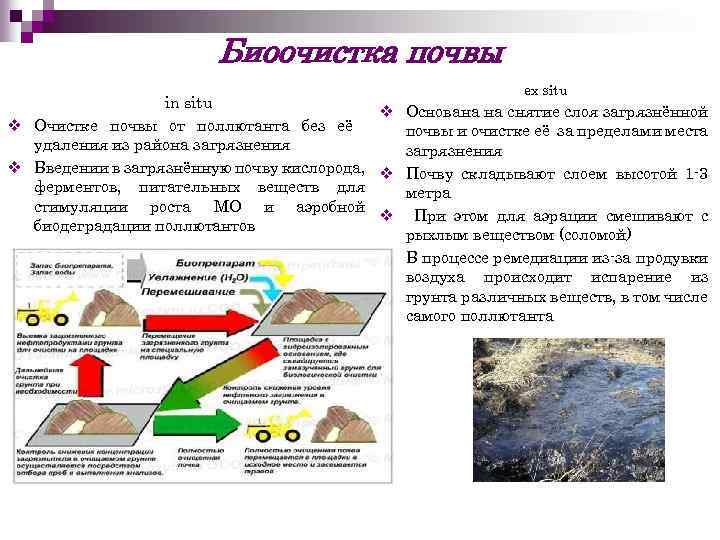 Процессы самоочищения в почве презентация