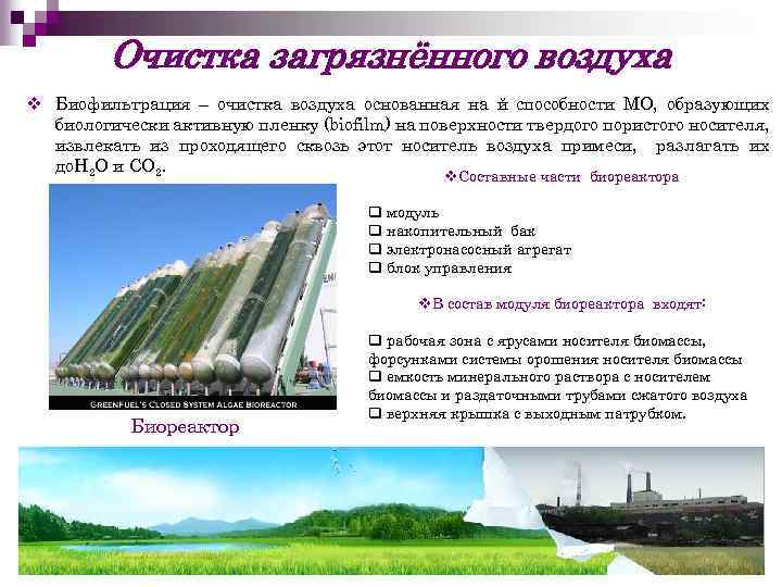 Очистка загрязнённого воздуха v Биофильтрация – очистка воздуха основанная на й способности МО, образующих