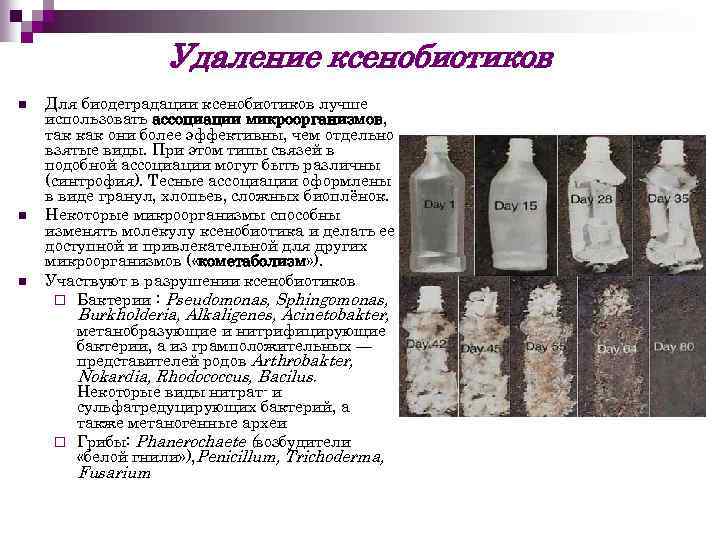 Удаление ксенобиотиков n n n Для биодеградации ксенобиотиков лучше использовать ассоциации микроорганизмов, так как