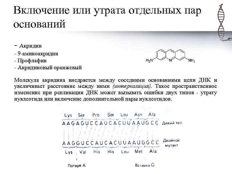 Включение или утрата отдельных пар оснований - Акридин - 9 -аминоакридин - Профлафин -