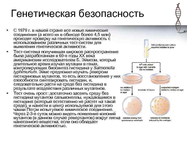 Проблемы генетической безопасности презентация 10 класс биология