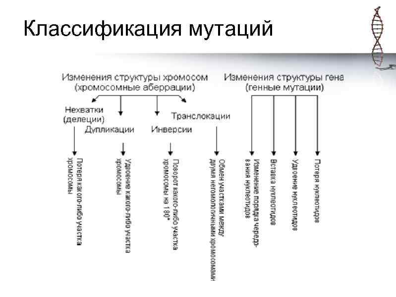 Мутации по причинам схема