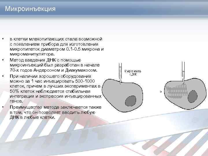 Микроинъекция • • в клетки млекопитающих стала возможной с появлением прибора для изготовления микропипеток