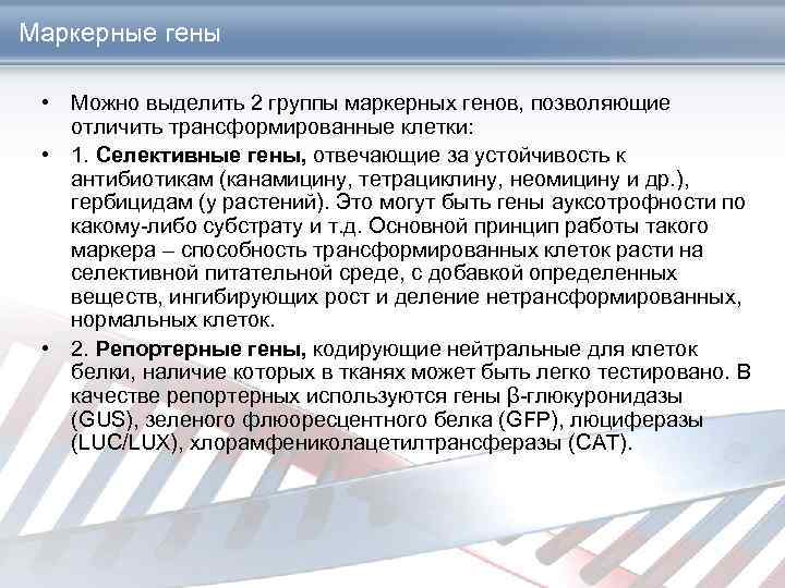 Маркерные гены • Можно выделить 2 группы маркерных генов, позволяющие отличить трансформированные клетки: •