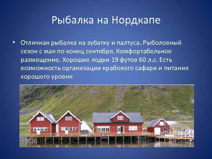 Рыбалка на Нордкапе • Отличная рыбалка на зубатку и палтуса. Рыболовный сезон с мая