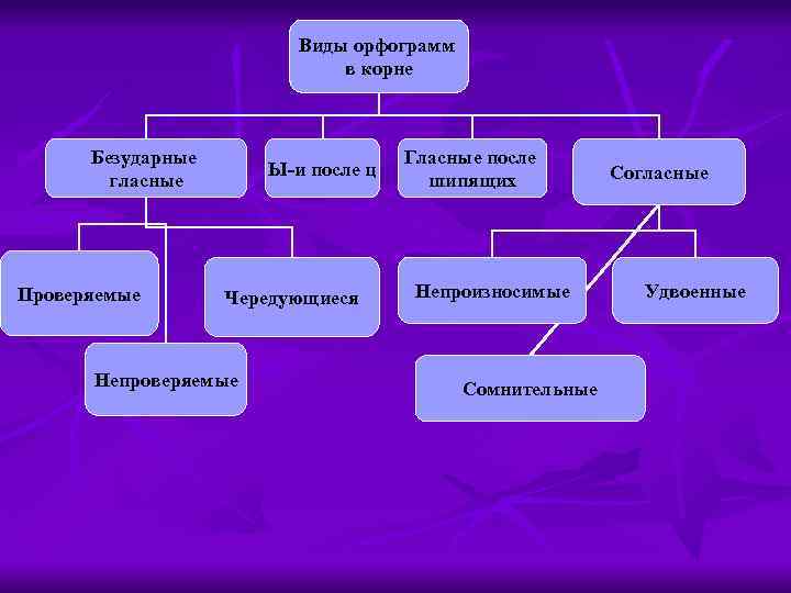 Виды орфограмм в корне Безударные гласные Проверяемые Ы-и после ц Чередующиеся Непроверяемые Гласные после