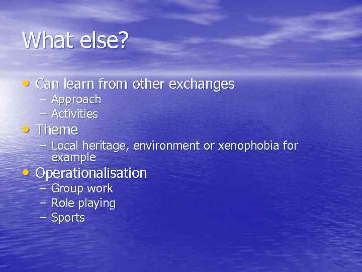 What else? • Can learn from other exchanges – Approach – Activities • Theme