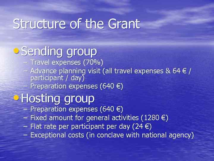 Structure of the Grant • Sending group – Travel expenses (70%) – Advance planning
