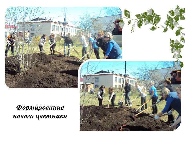 Формирование нового цветника 