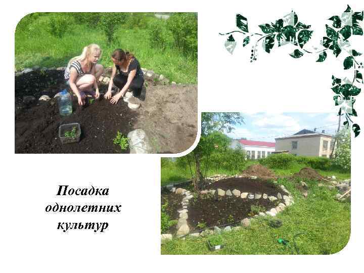 Посадка однолетних культур 