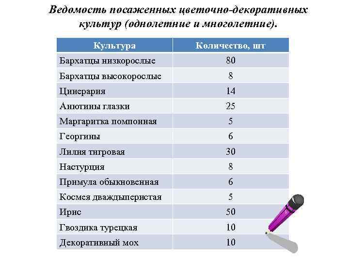 Ведомость посаженных цветочно-декоративных культур (однолетние и многолетние). Культура Количество, шт Бархатцы низкорослые 80 Бархатцы