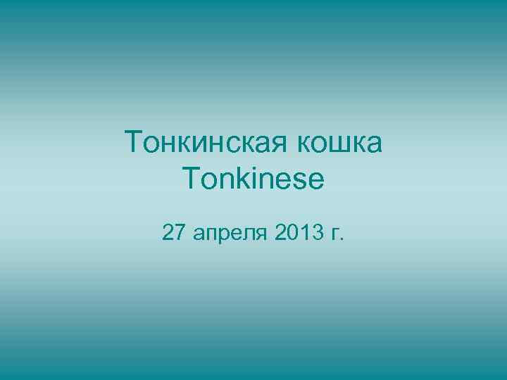 Тонкинская кошка Tonkinese 27 апреля 2013 г. 