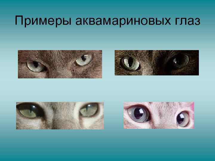 Примеры аквамариновых глаз 