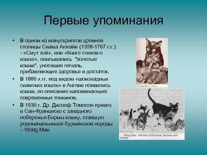 Первые упоминания • • • В одном из манускриптов древней столицы Сиама Аютайи (1358