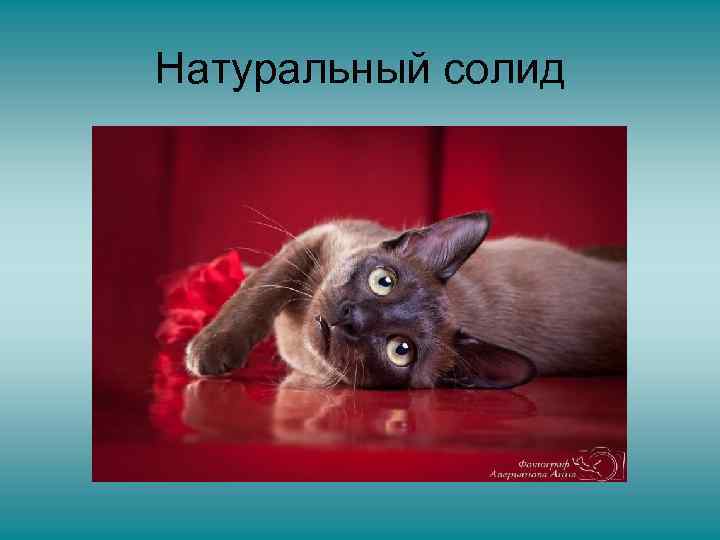 Натуральный солид 