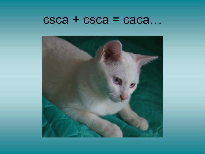 csca + csca = caca… 