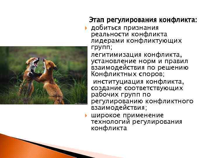 Этап регулирования конфликта: добиться признания реальности конфликта лидерами конфликтующих групп; легитимизация конфликта, установление норм