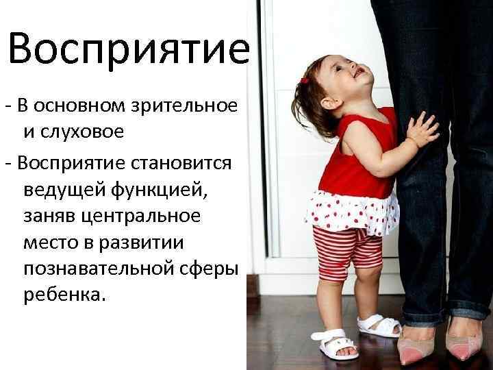 Восприятие - В основном зрительное и слуховое - Восприятие становится ведущей функцией, заняв центральное